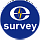 E-Survey